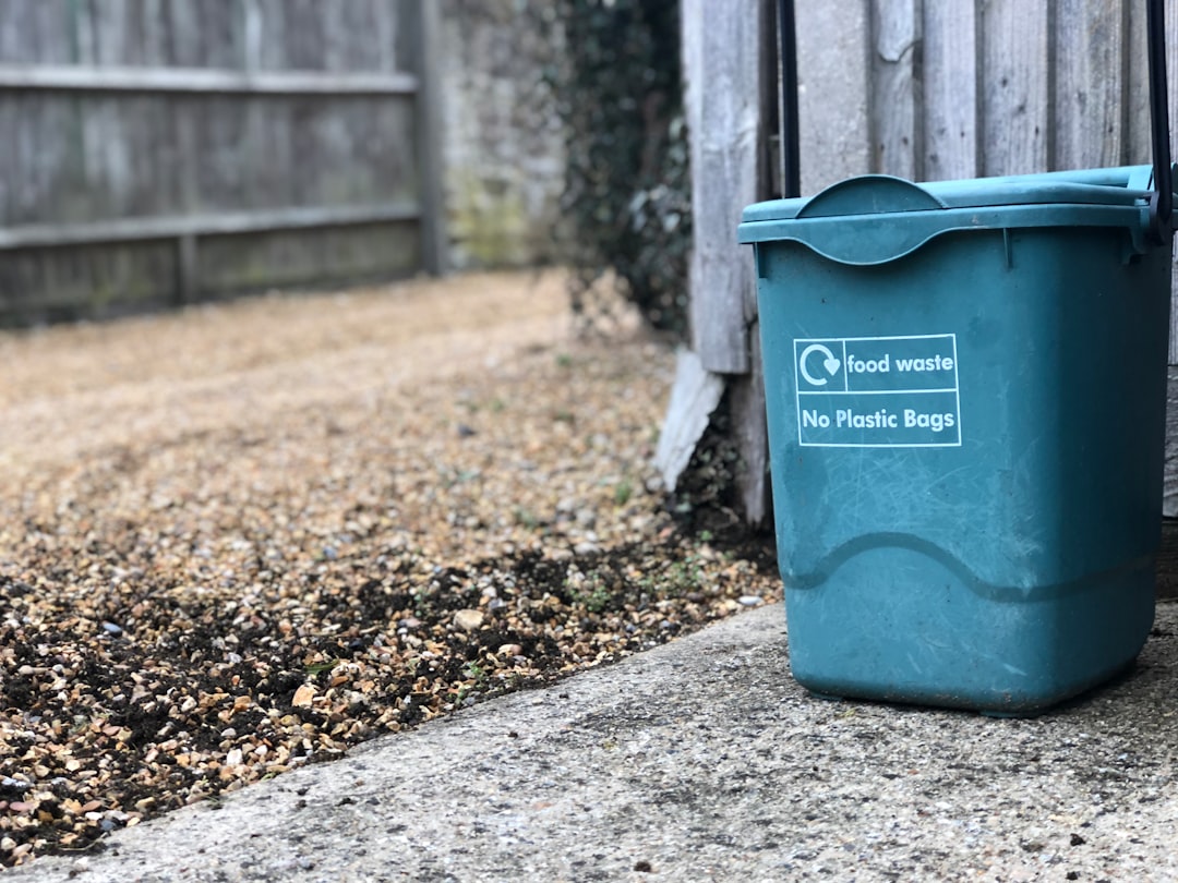 Photo Recycling bins